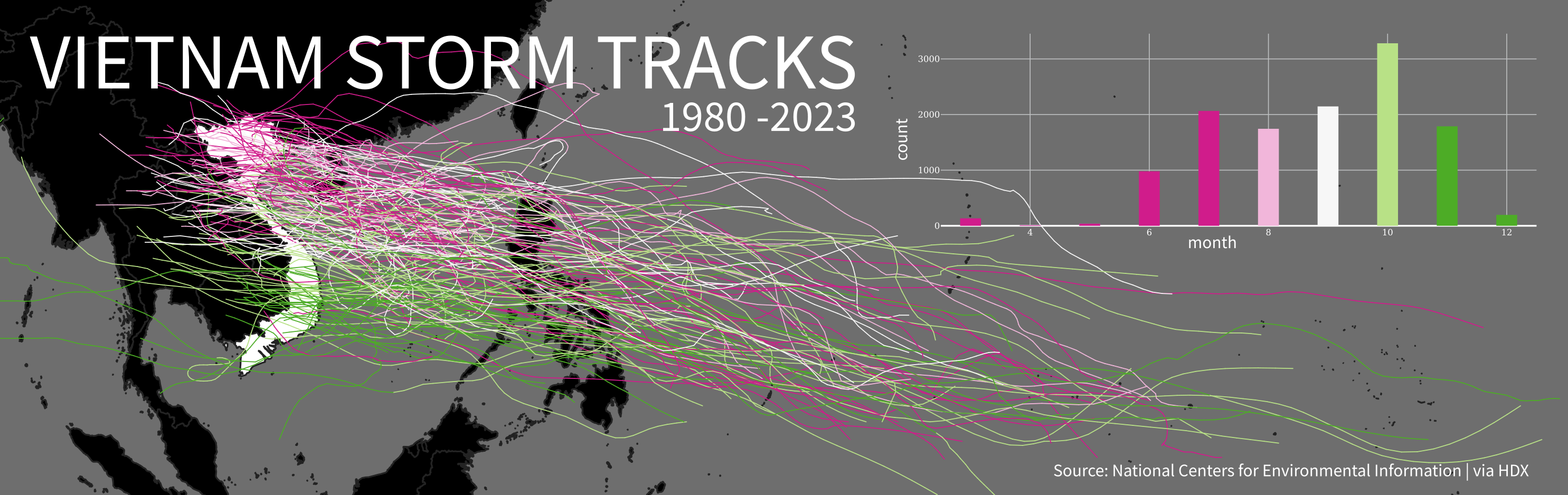 Vietnam Storms